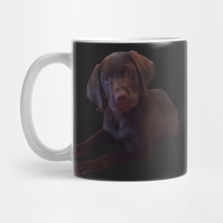 Marty the chocolate lab Mug